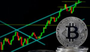 Bitcoin (BTC) Fades From Exchange as Outflows Reach New Highs